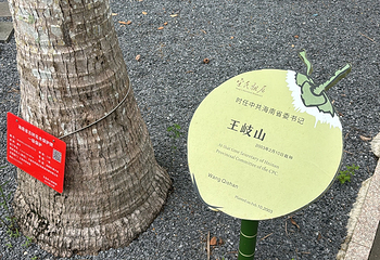 文昌宋氏祖居第 53 张图片
