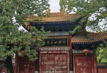 楼观台国家森林公园第 74 张图片