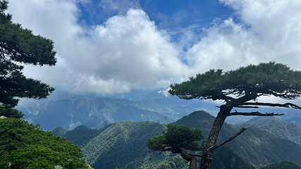 三清山风景区第 101 张图片