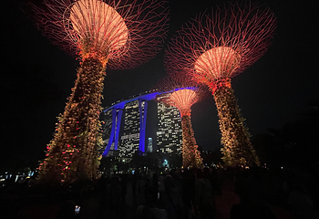新加坡滨海湾花园第 375 张图片