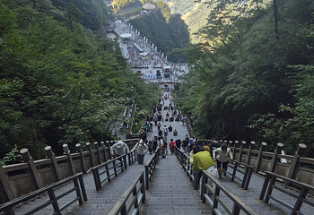 天门山国家森林公园第 501 张图片