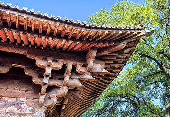镇国寺第 20 张图片