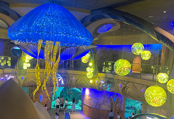 三亚亚特兰蒂斯失落的空间水族馆第 209 张图片
