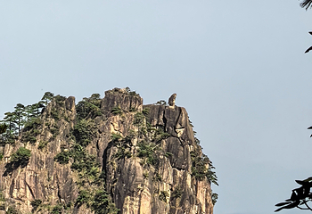 黄山风景区第 391 张图片