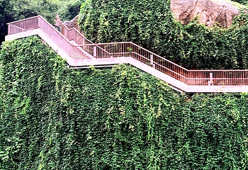 牛首山文化旅游区第 482 张图片