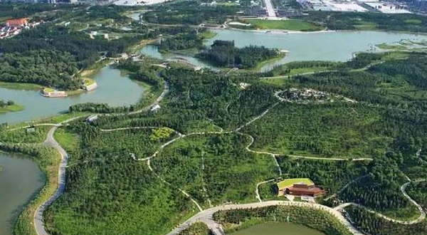 奥林匹克森林公园-冰场