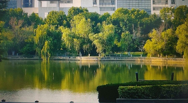 南京航空航天大学(将军路校区)-砚湖