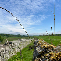 伯德罗斯瓦尔德罗马堡垒