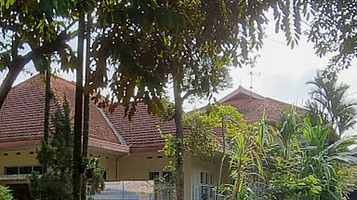 天主教茂物教区