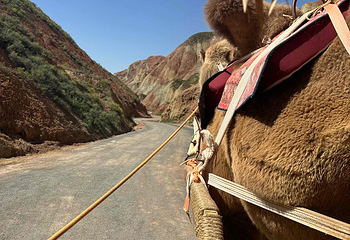 兰州水墨丹霞旅游景区第 111 张图片