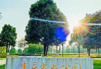 重庆中央公园第 14 张图片