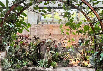 上海植物园第 46 张图片