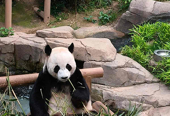 爱宝乐园第 135 张图片