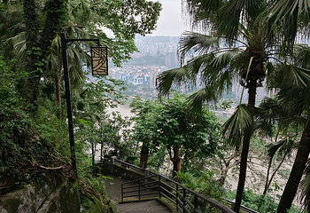 鹅岭公园第 132 张图片