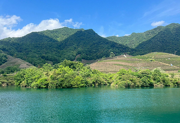 杭州龙坞茶村第 13 张图片