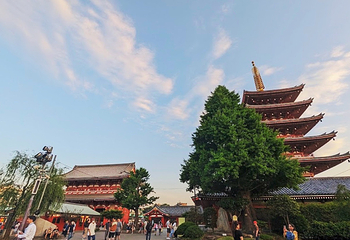 浅草寺第 56 张图片