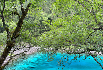 九寨沟风景区第 253 张图片