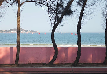 彩蝶湾景区第 62 张图片