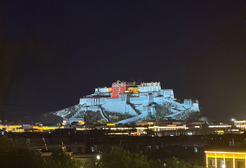 布达拉宫第 160 张图片