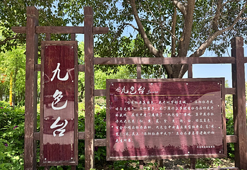 隋唐城遗址植物园第 20 张图片