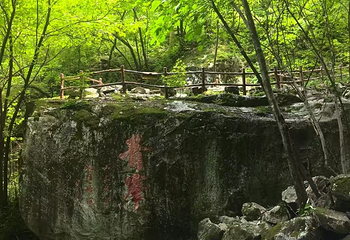 青峰峡森林公园第 24 张图片