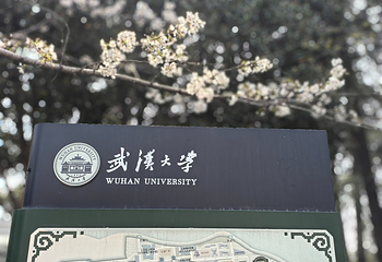 武汉大学第 37 张图片