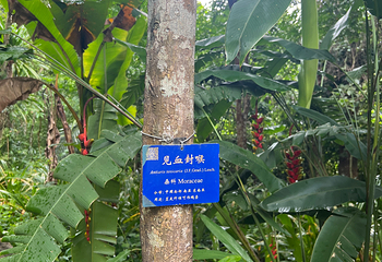 中国科学院西双版纳热带植物园第 168 张图片