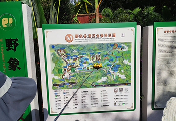 野象谷第 123 张图片
