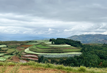 东川红土地第 32 张图片