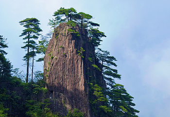 黄山风景区第 386 张图片
