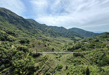 婺源篁岭景区第 168 张图片