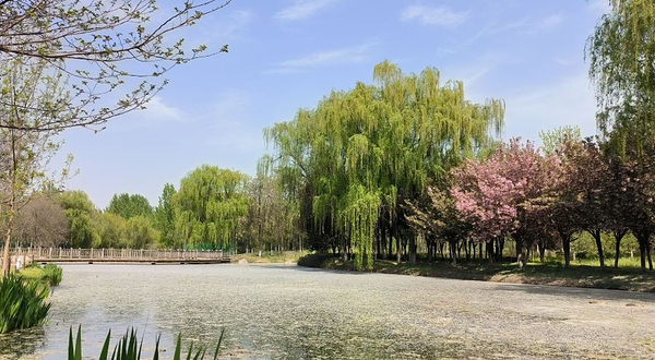 GoDay Park浐灞自然营地