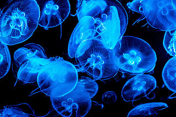 塞维利亚水族馆第 1 张图片