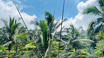 ATV Bali Ubud Singapadu