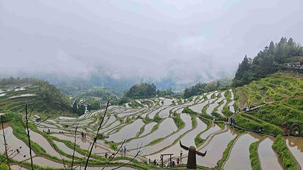 云和梯田景区第 92 张图片