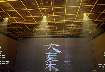 赳赳大秦第 30 张图片