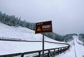 仙女山国家森林公园第 78 张图片