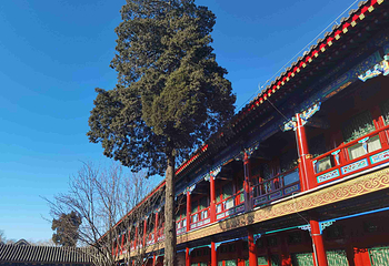 恭王府第 55 张图片