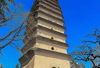 小雁塔遗址公园第 52 张图片