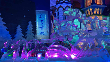 哈尔滨冰雪大世界第 188 张图片