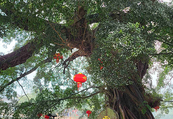 云水谣景区第 96 张图片