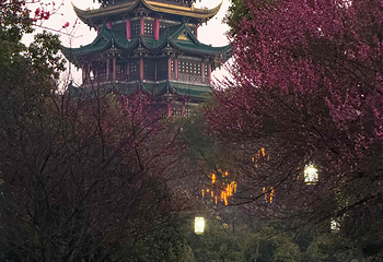 鸿恩寺公园第 88 张图片