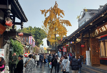 锦里古街第 84 张图片