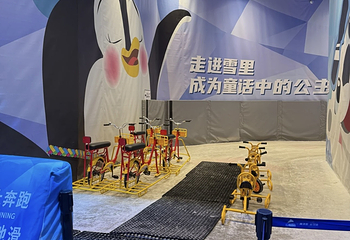 阿尔卑斯雪世界第 317 张图片