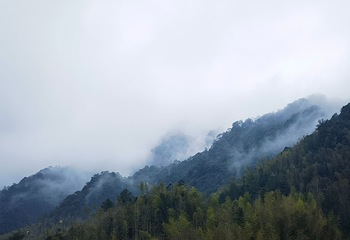 三清山风景区第 242 张图片