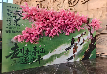 赳赳大秦第 106 张图片
