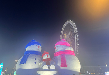 哈尔滨冰雪大世界第 989 张图片