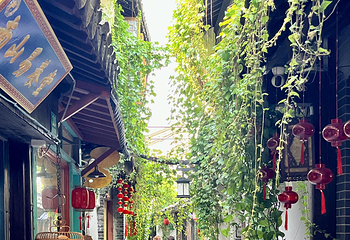 朱家角古镇景区第 124 张图片