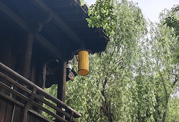 沈园第 97 张图片