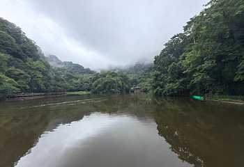 青城山第 178 张图片